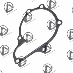 Прокладка насоса водяного BOBCAT 7000746