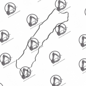 Прокладка крышки клапанов BOBCAT 7008409